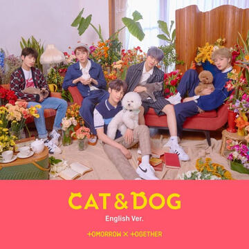 Cat n Dog